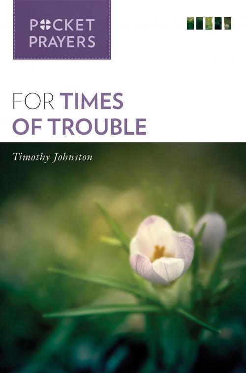Cover of the book Pocket Prayers for Times of Trouble by Timothy Johnston, Twenty-Third Publications/Bayard