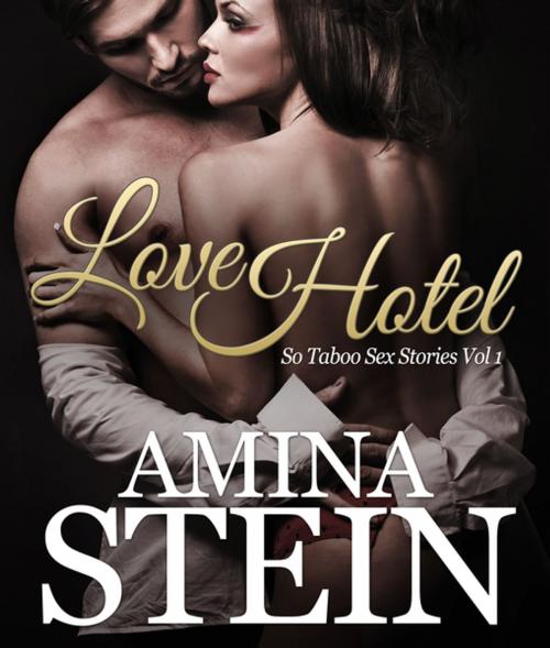 Cover of the book Love Hotel by Amina Stein, Speedy Publishing LLC