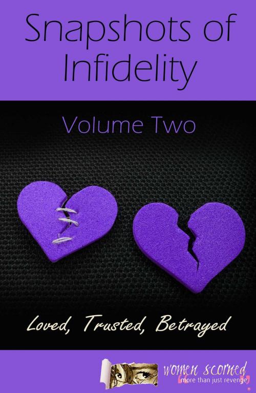 Cover of the book Snapshots of Infidelity by Women Scorned, Accent Press