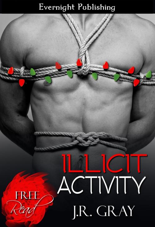 Cover of the book Illicit Activity by J. R. Gray, Evernight Publishing