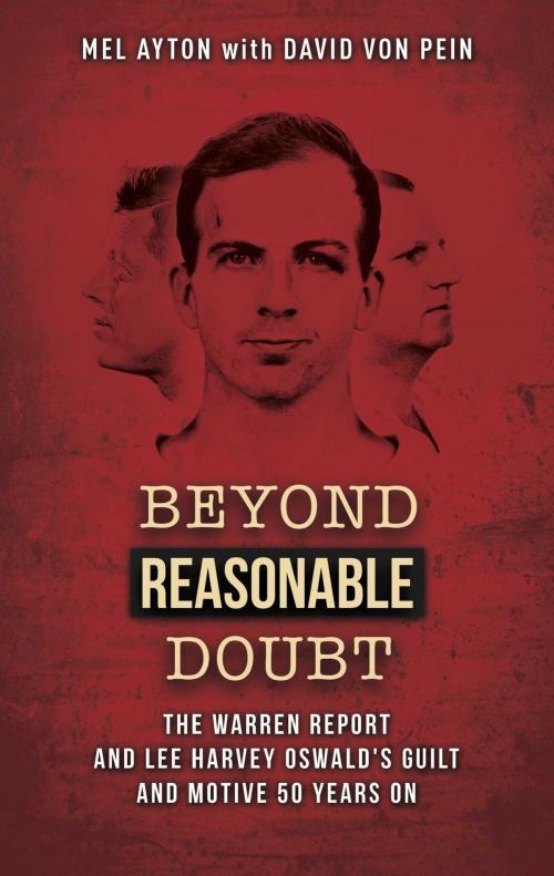 Cover of the book Beyond Reasonable Doubt by , Strategic Media Books