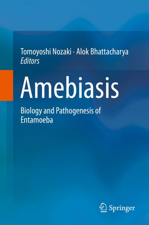 Cover of the book Amebiasis by , Springer Japan