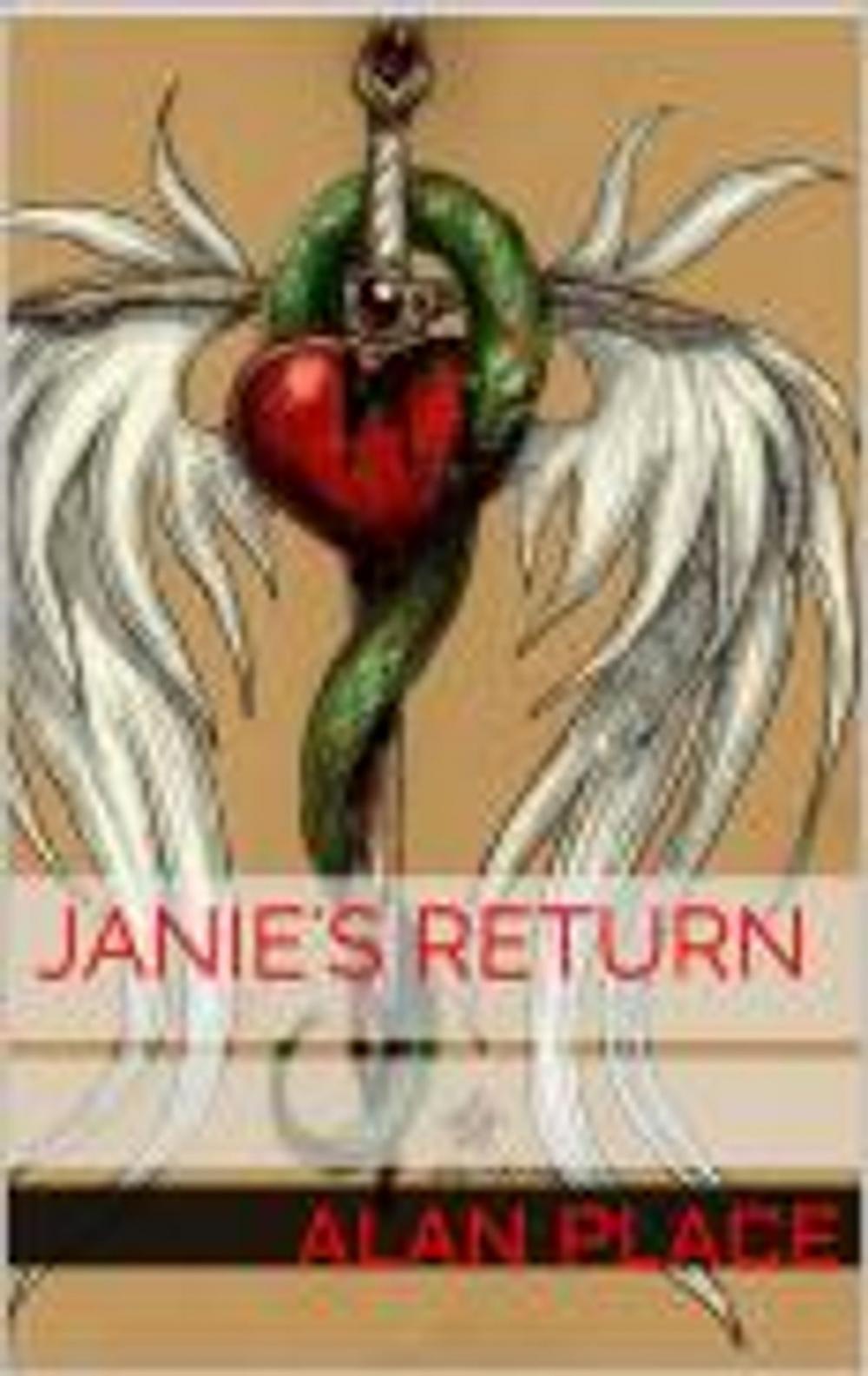 Big bigCover of Janie's Return