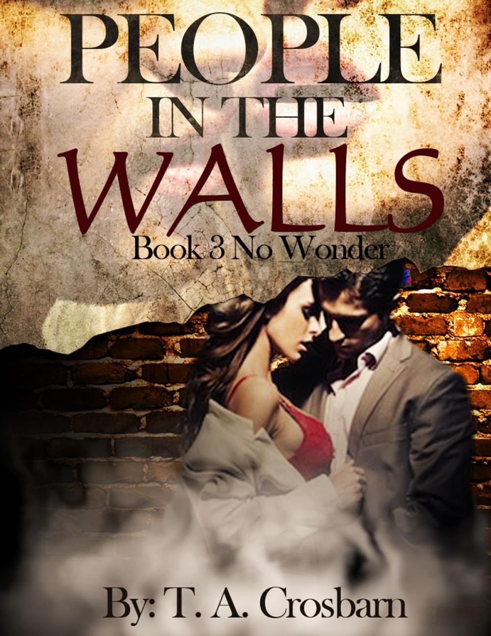 Big bigCover of People in the Walls (Book 3 No Wonder)