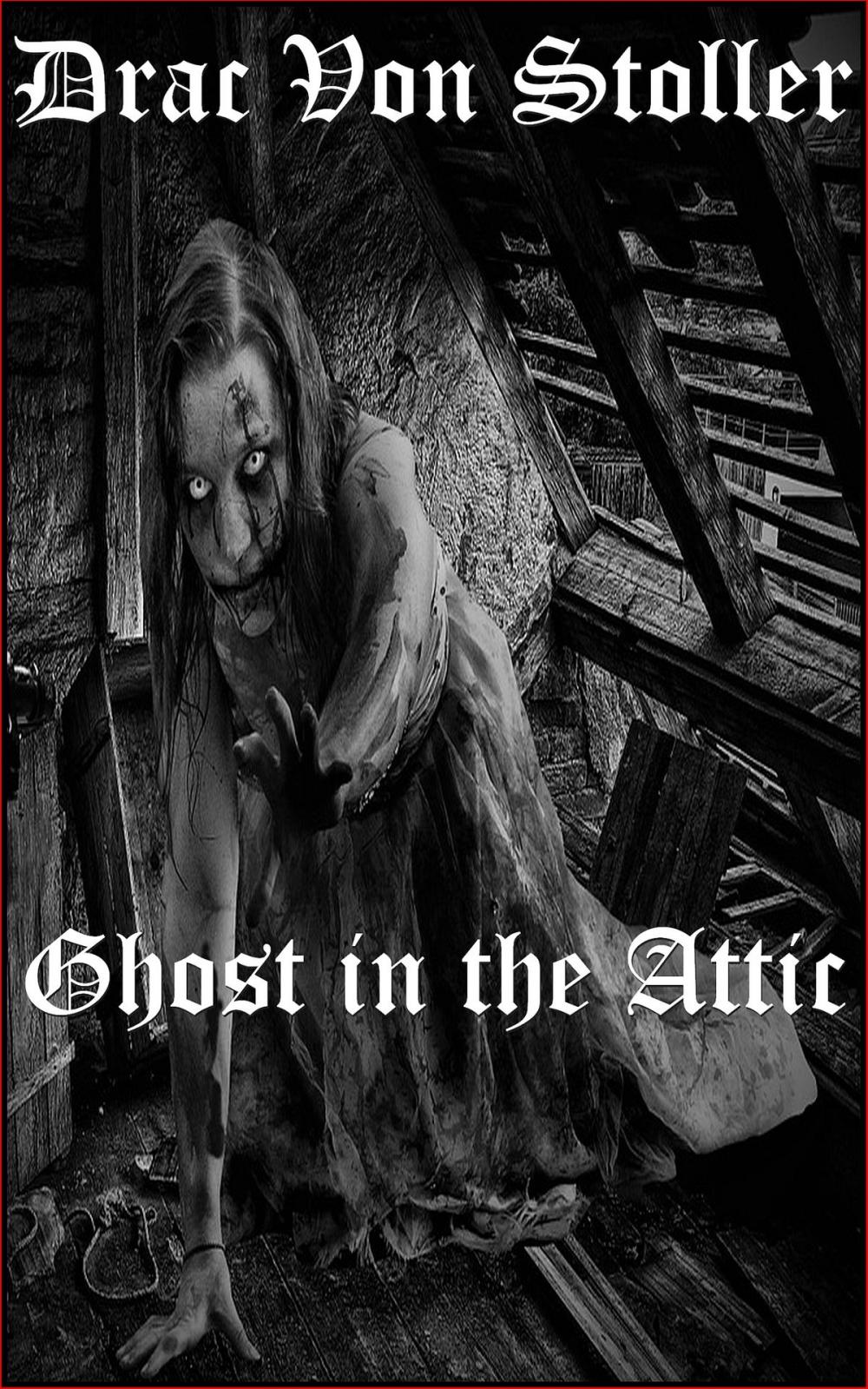 Big bigCover of Ghost in the Attic