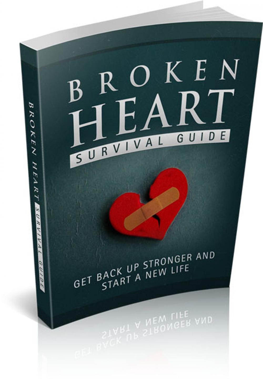 Big bigCover of Broken Heart Survival Guide