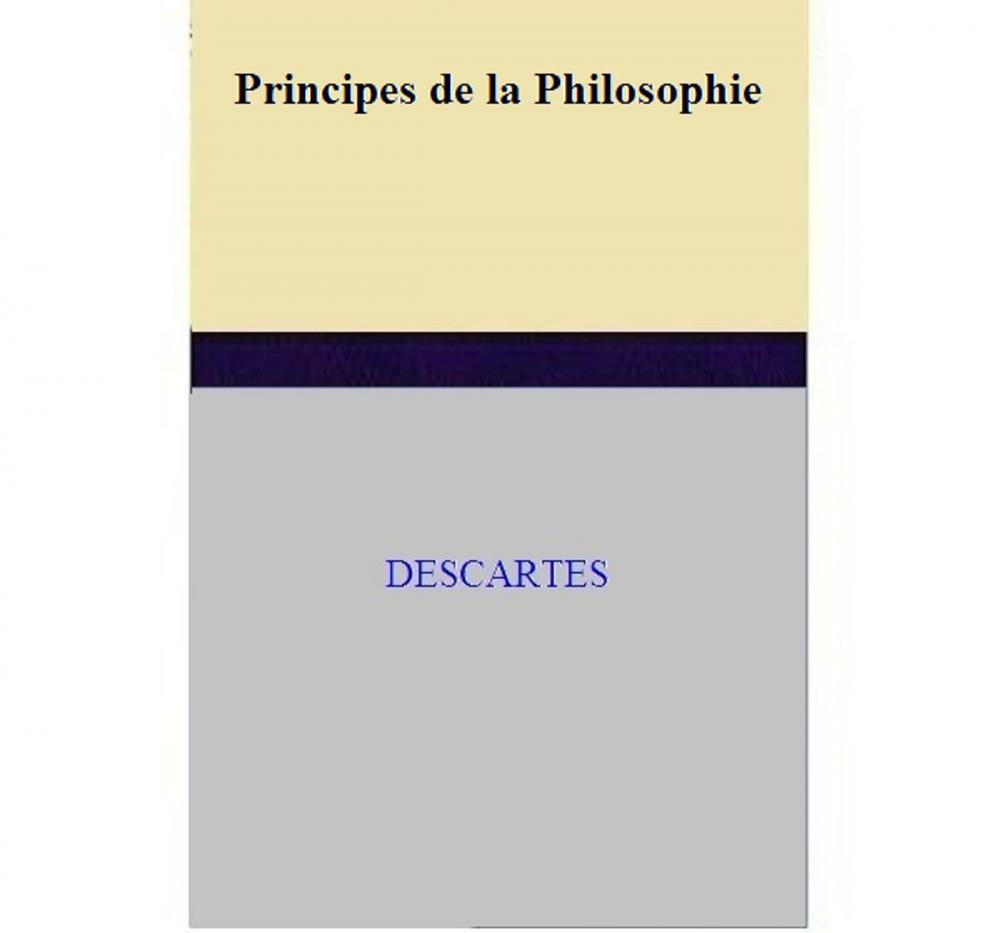 Big bigCover of Principes de la Philosophie