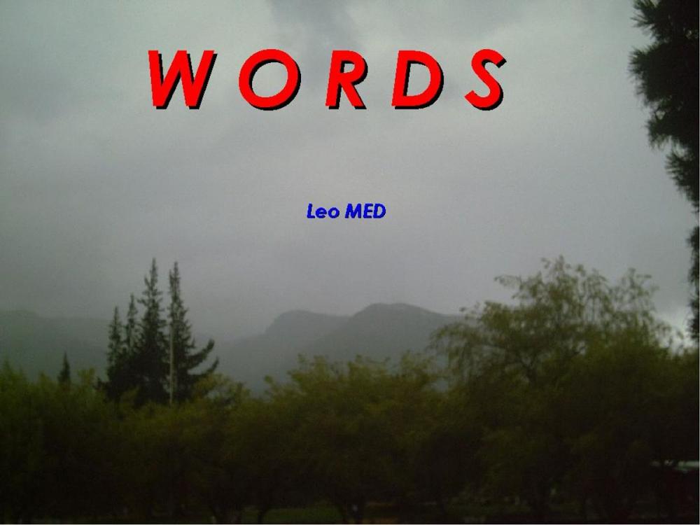 Big bigCover of WORDS