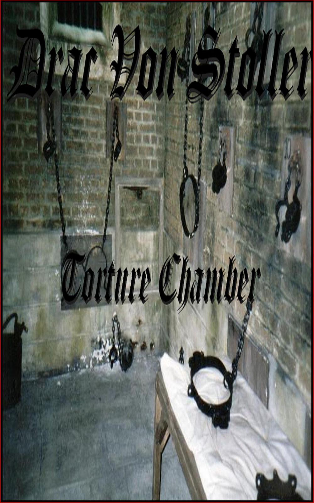 Big bigCover of Torture Chamber