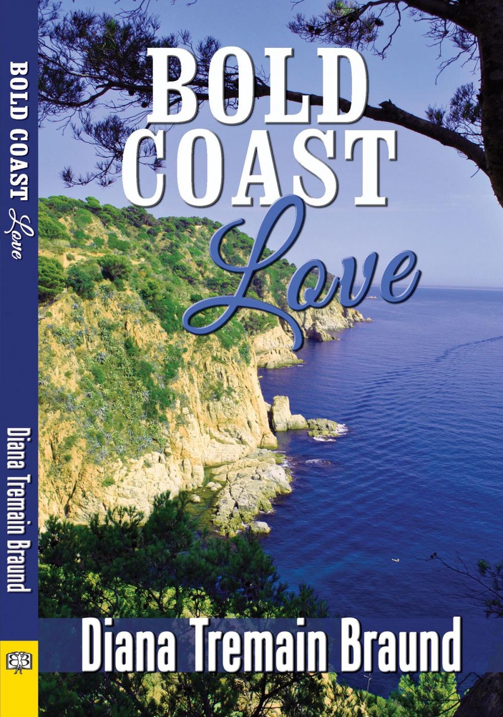 Big bigCover of Bold Coast Love