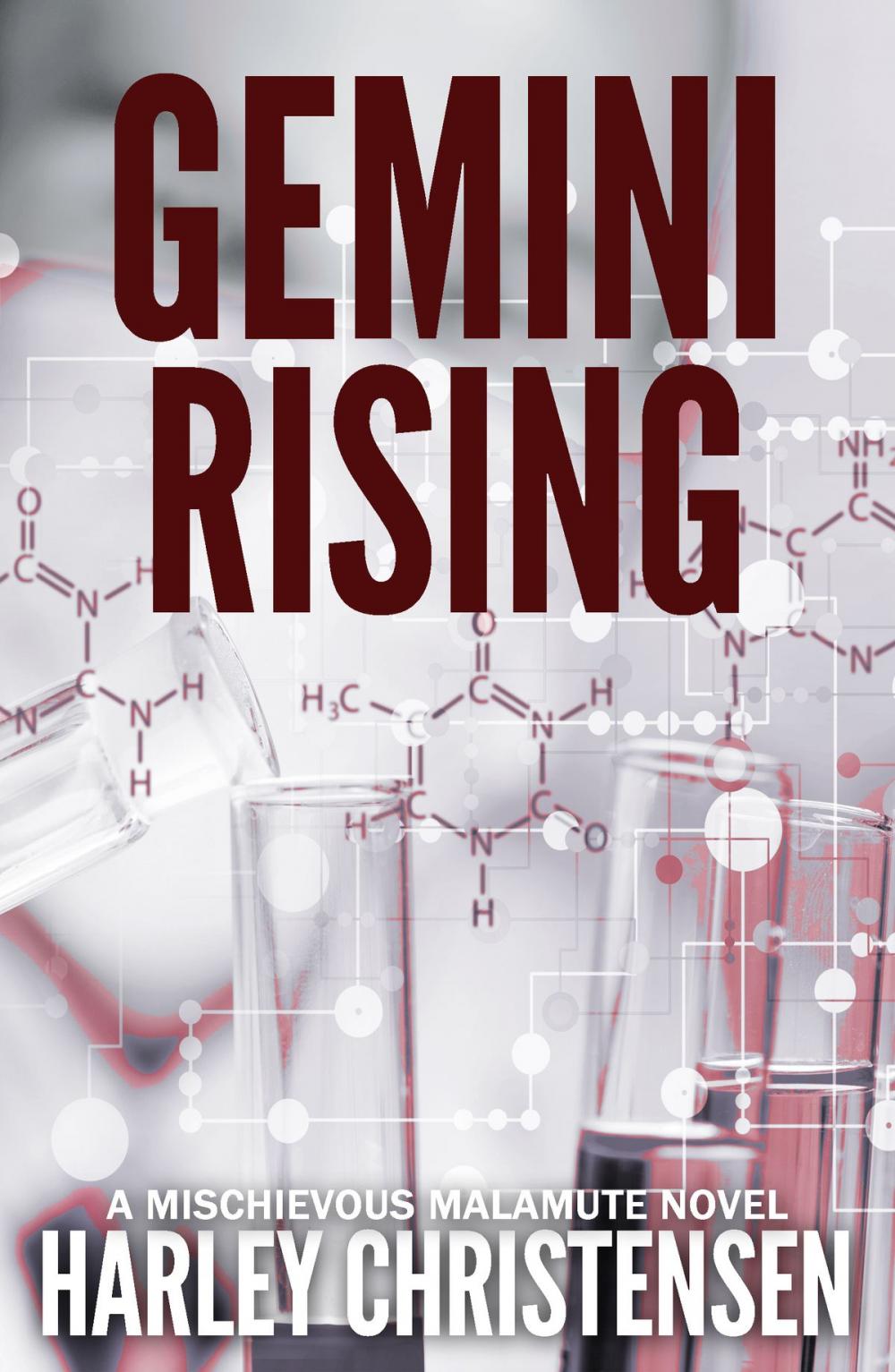 Big bigCover of Gemini Rising