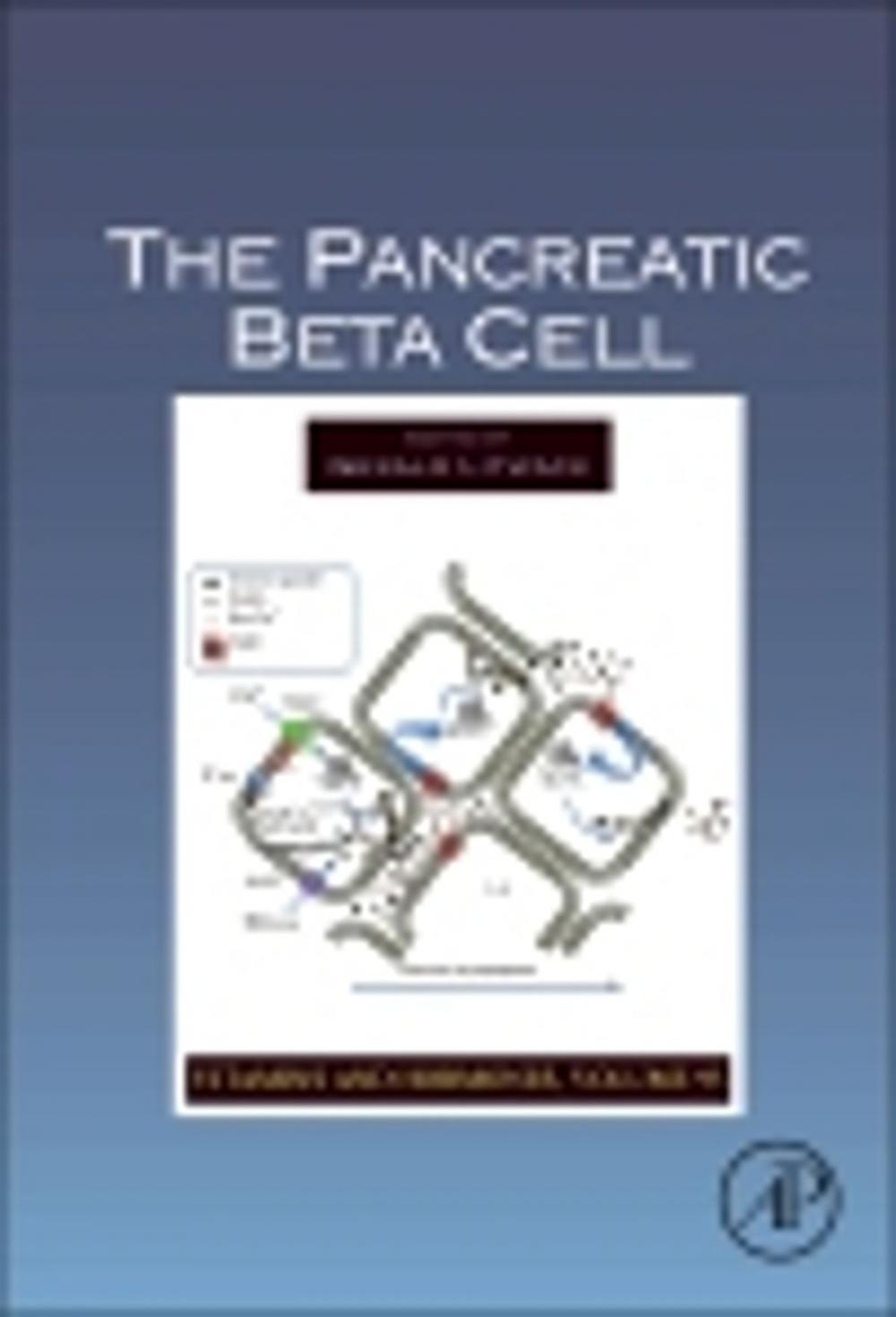 Big bigCover of The Pancreatic Beta Cell