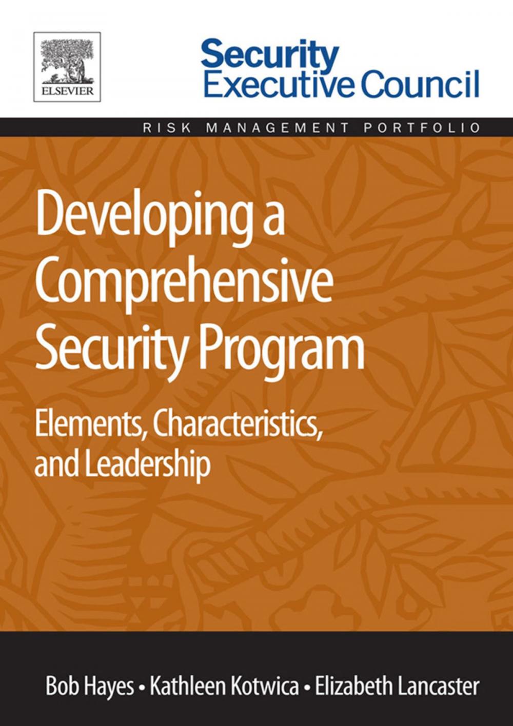 Big bigCover of Developing a Comprehensive Security Program