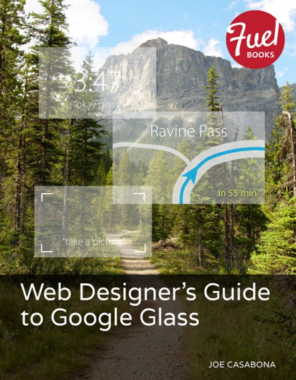 Big bigCover of Web Designer's Guide to Google Glass