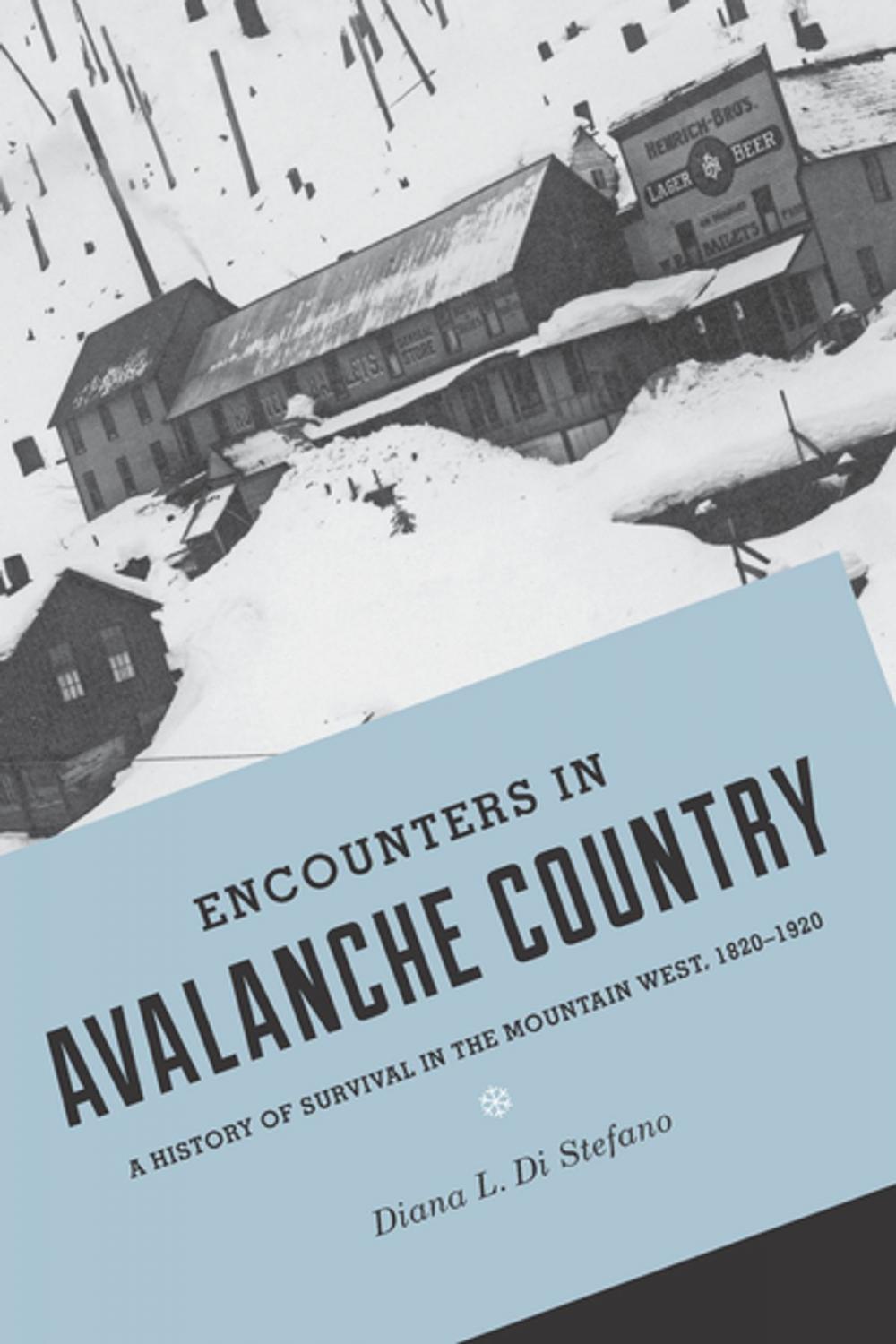 Big bigCover of Encounters in Avalanche Country