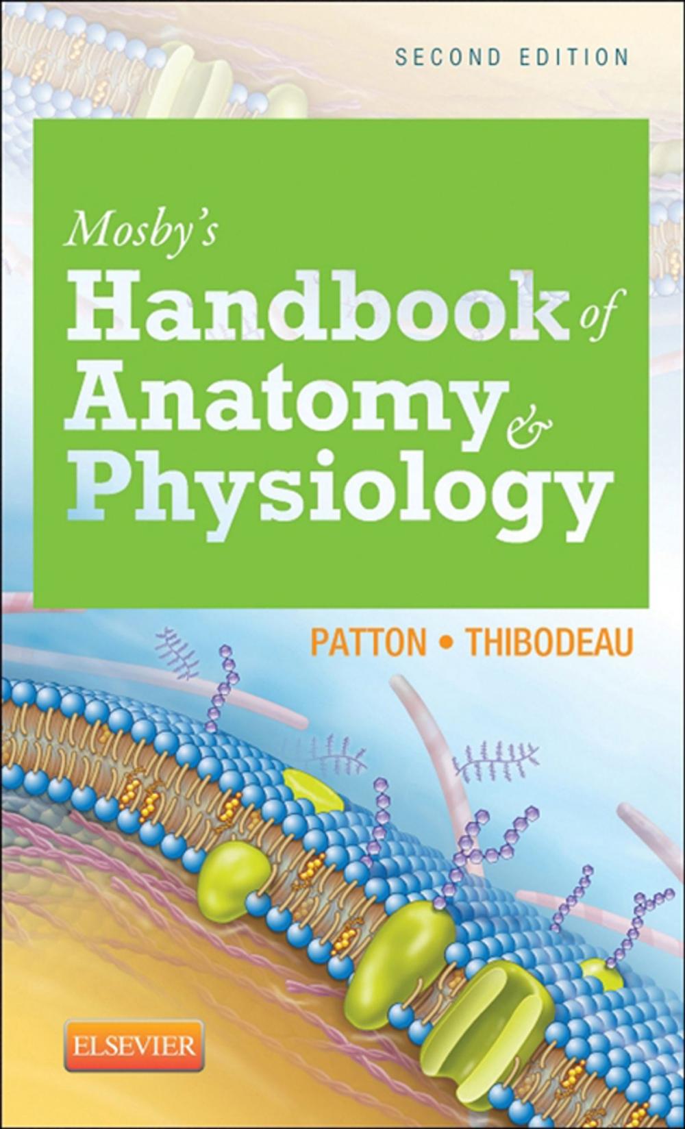 Big bigCover of Mosby's Handbook of Anatomy & Physiology - E-Book