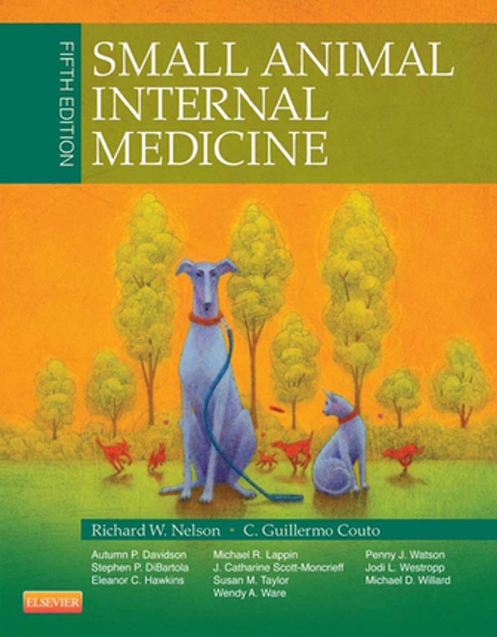 Big bigCover of Small Animal Internal Medicine - E-Book