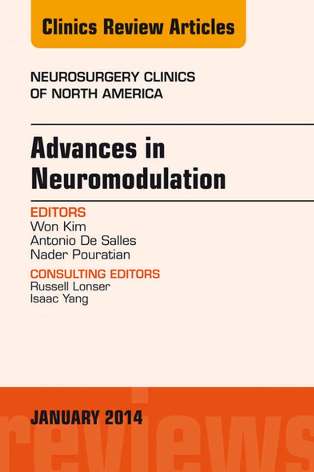 Big bigCover of Advances in Neuromodulation, An Issue of Neurosurgery Clinics of North America, An Issue of Neurosurgery Clinics, E-Book