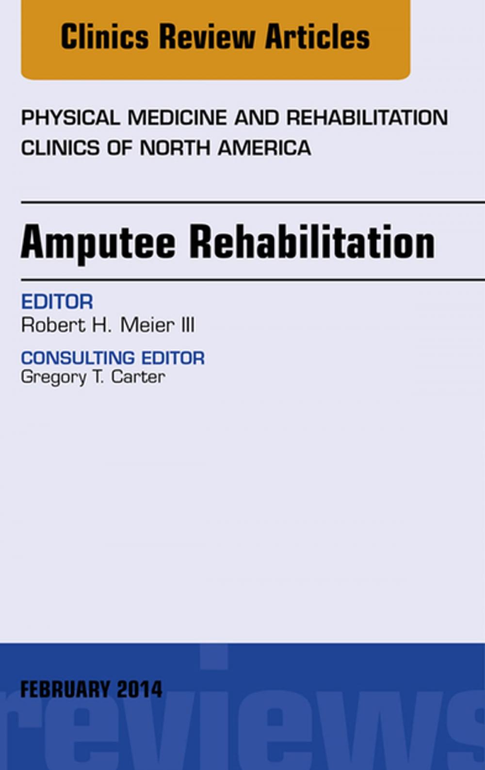 Big bigCover of Amputee Rehabilitation, An Issue of Physical Medicine and Rehabilitation Clinics of North America, E-Book