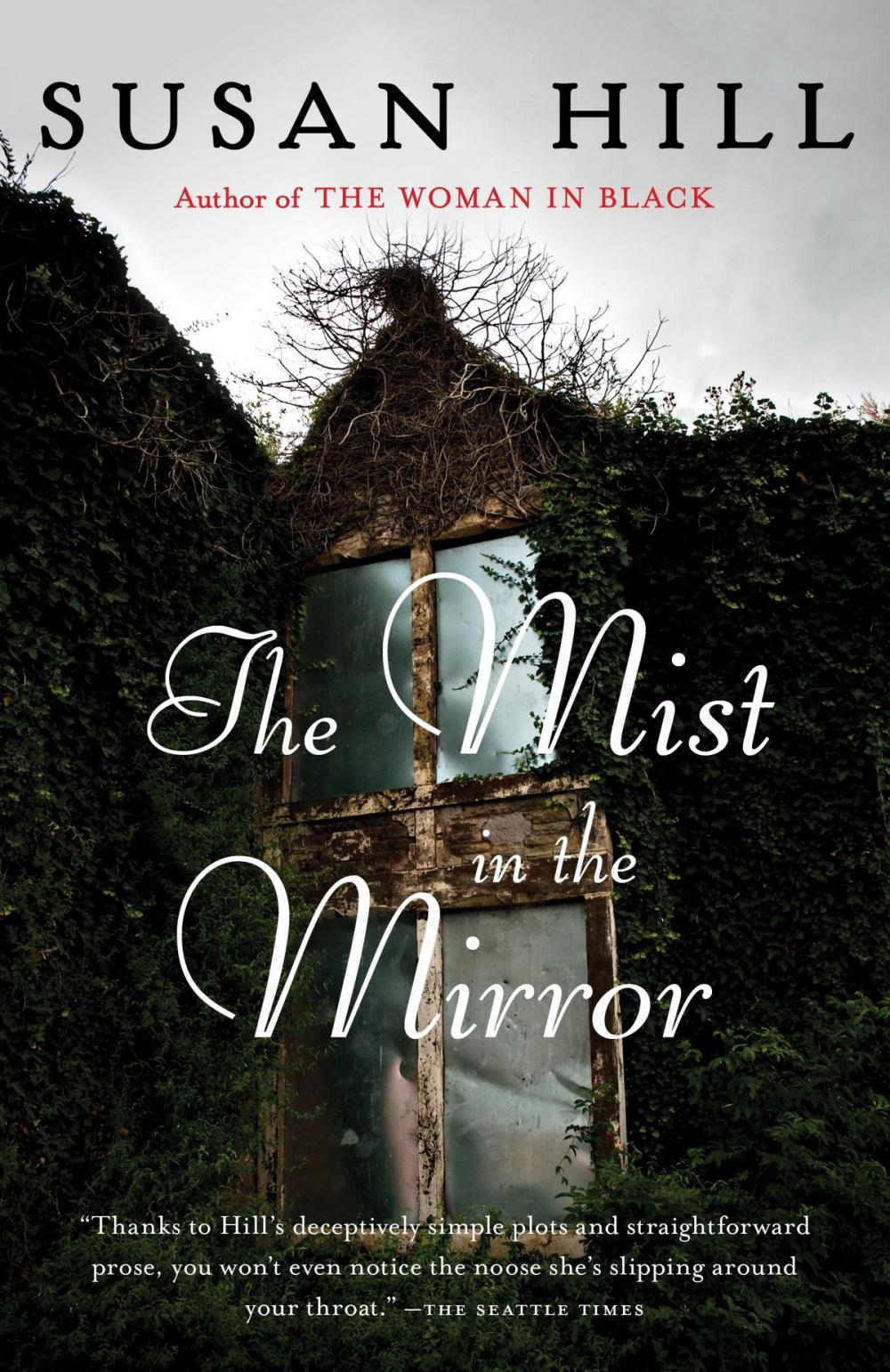 Big bigCover of The Mist in the Mirror