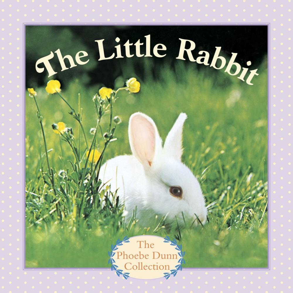 Big bigCover of The Little Rabbit