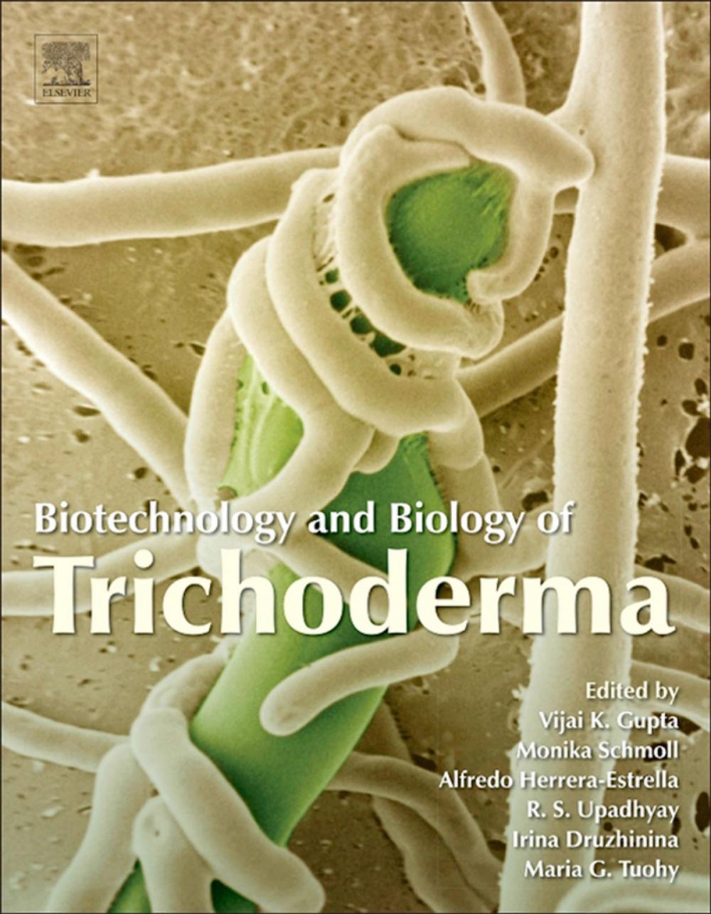 Big bigCover of Biotechnology and Biology of Trichoderma