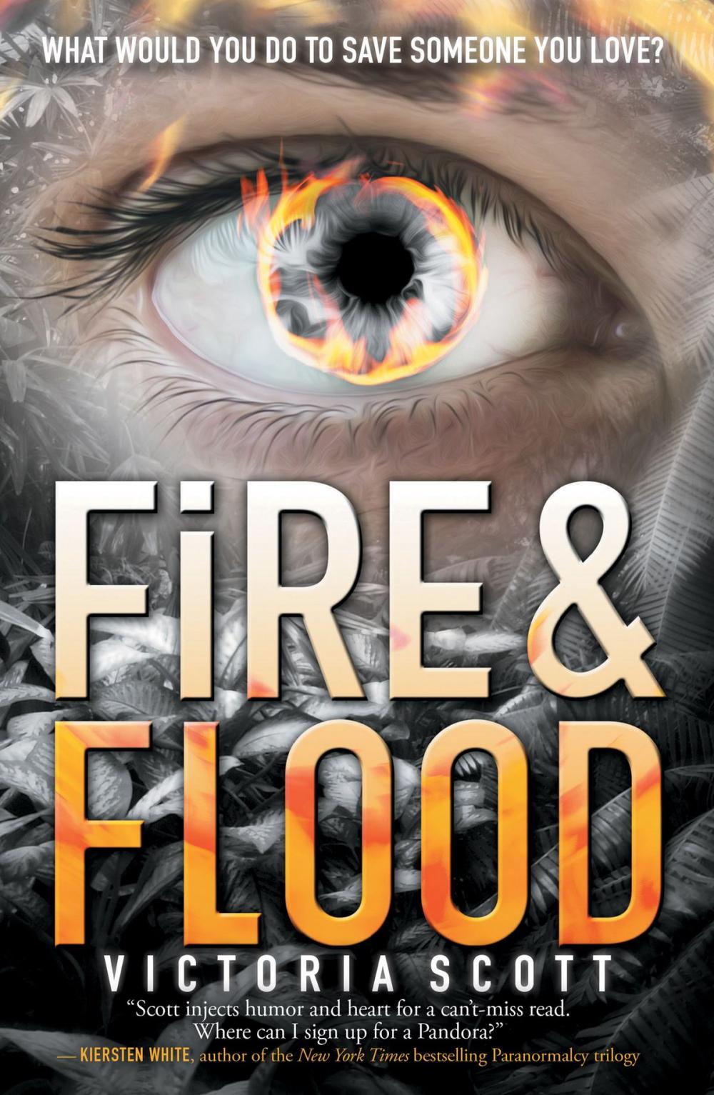 Big bigCover of Fire & Flood