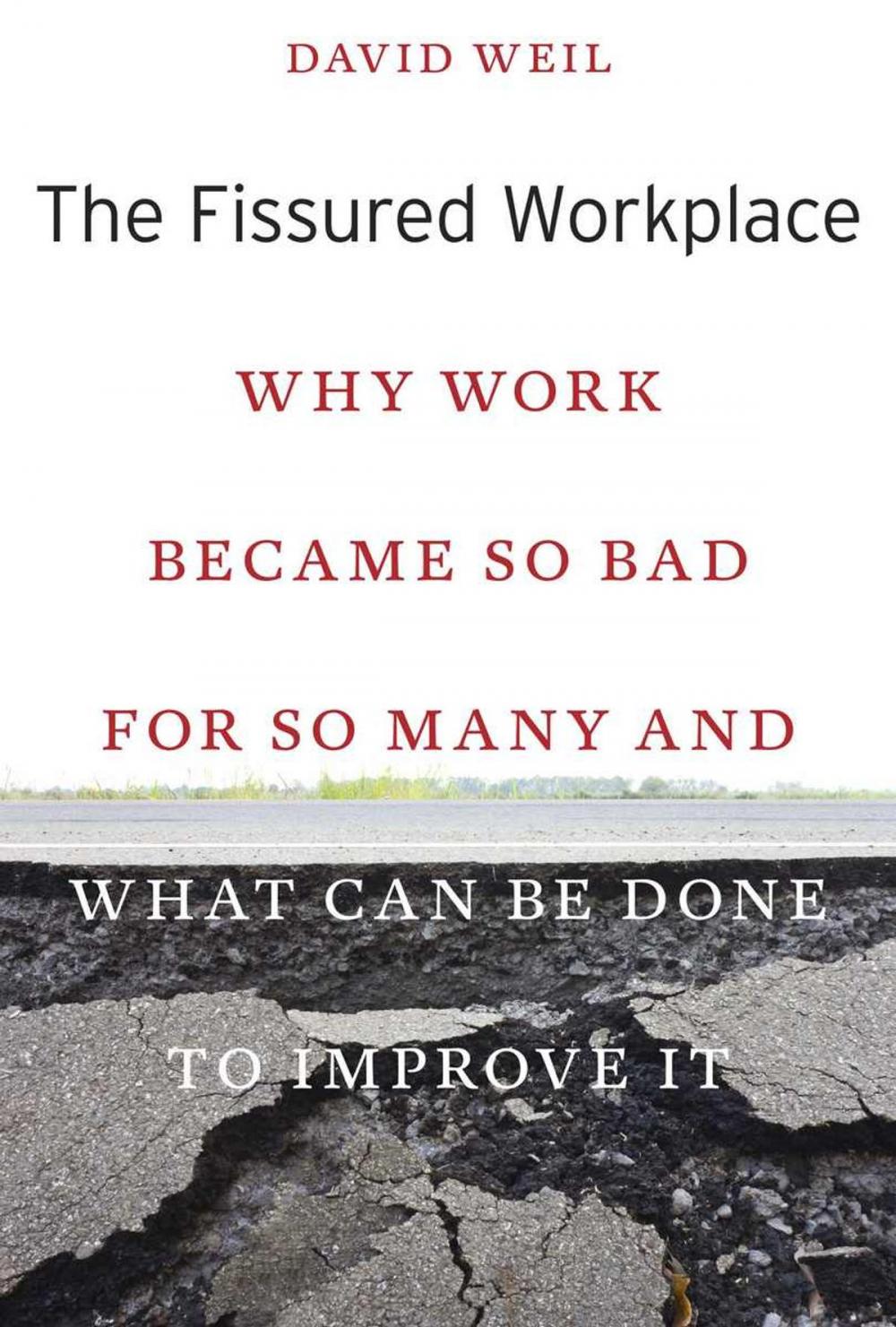 Big bigCover of The Fissured Workplace