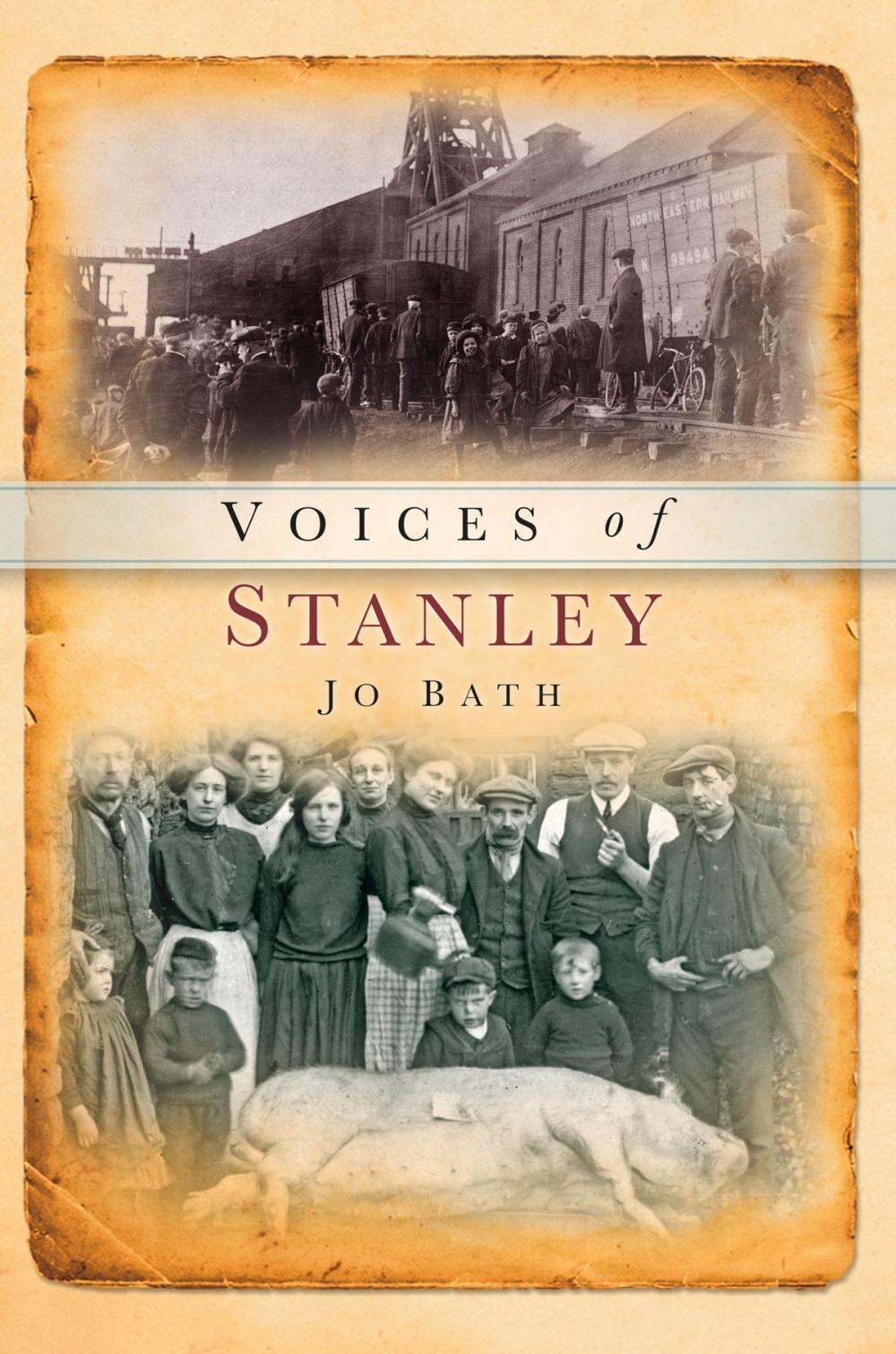 Big bigCover of Voices of Stanley