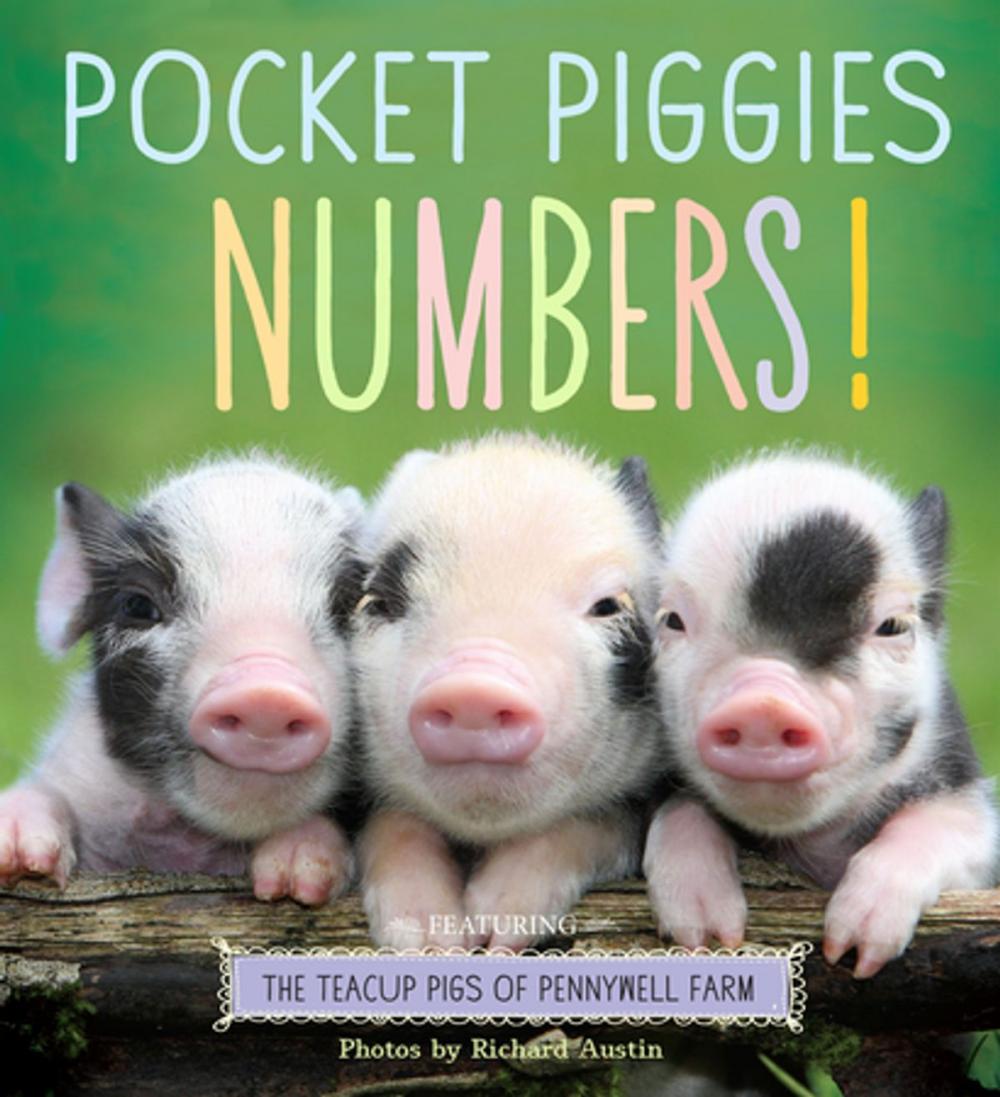 Big bigCover of Pocket Piggies Numbers!