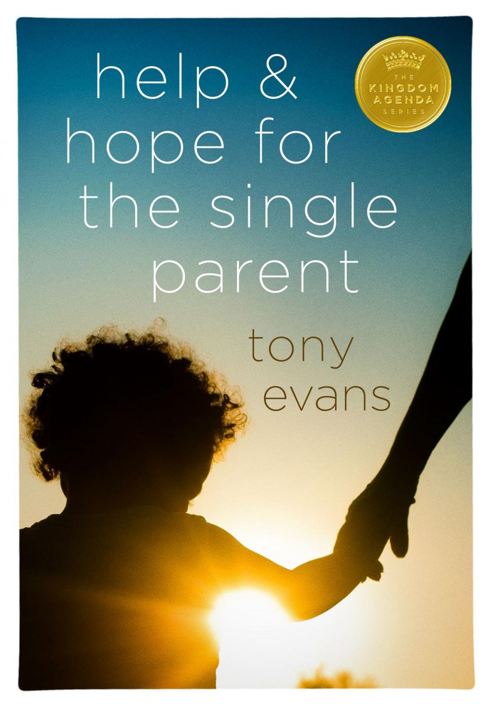 Big bigCover of Help and Hope for the Single Parent