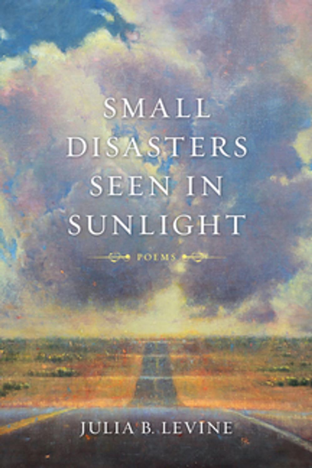 Big bigCover of Small Disasters Seen in Sunlight