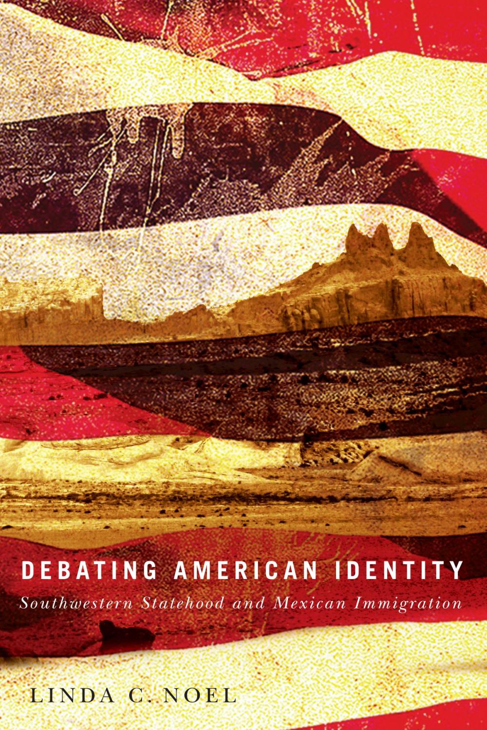 Big bigCover of Debating American Identity