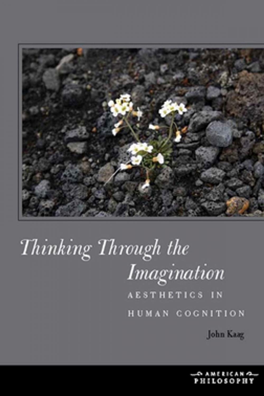 Big bigCover of Thinking Through the Imagination