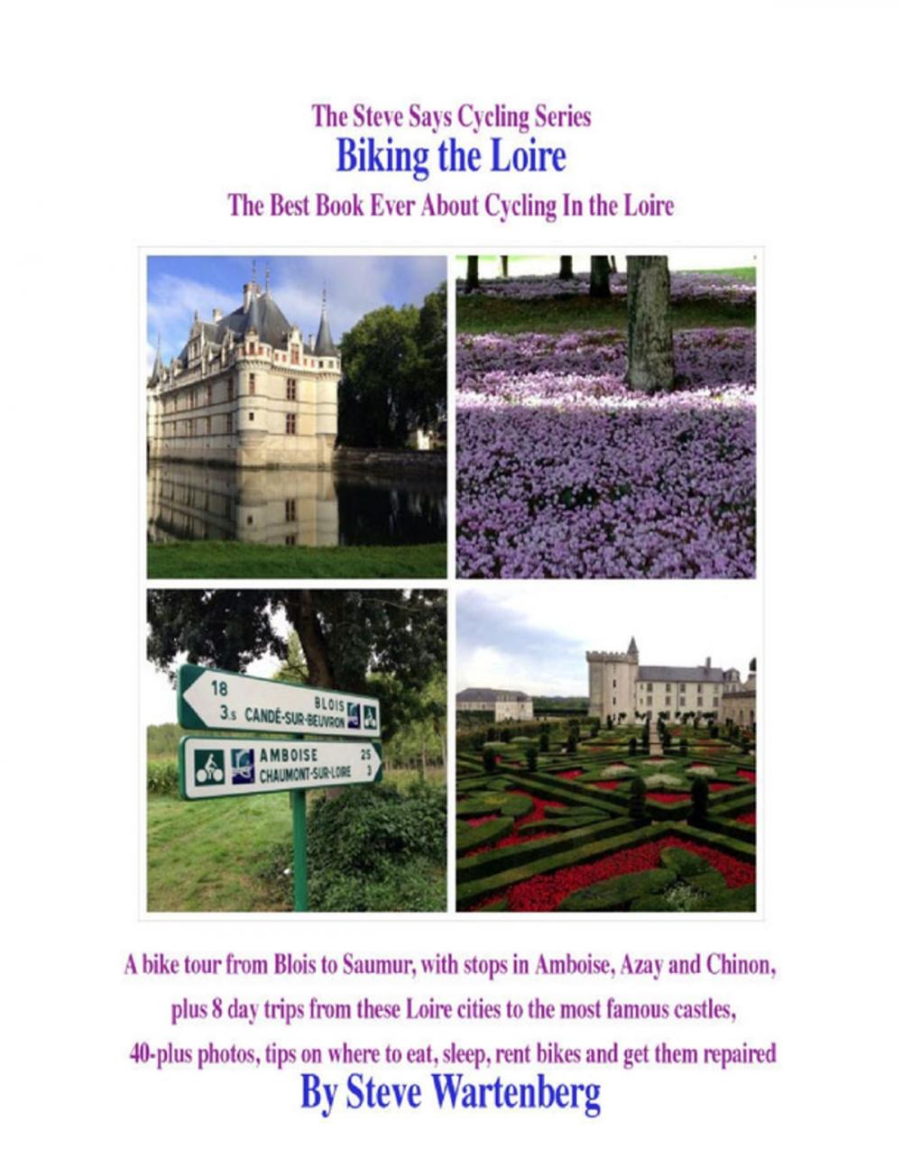 Big bigCover of Biking the Loire