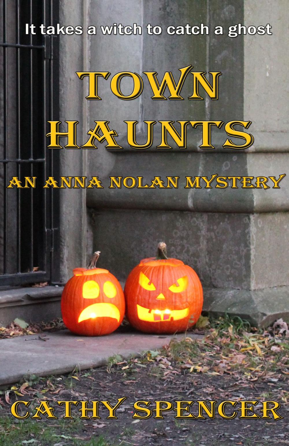 Big bigCover of Town Haunts