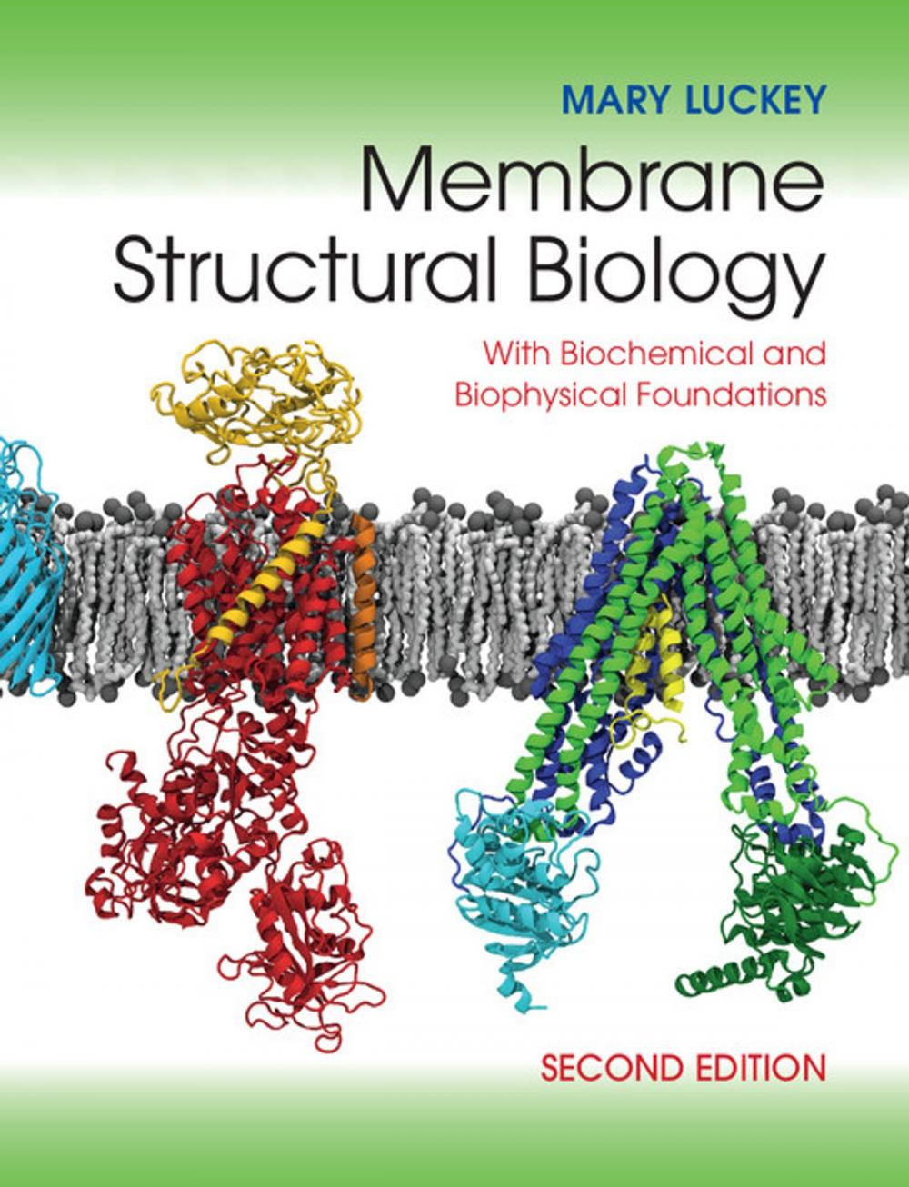 Big bigCover of Membrane Structural Biology