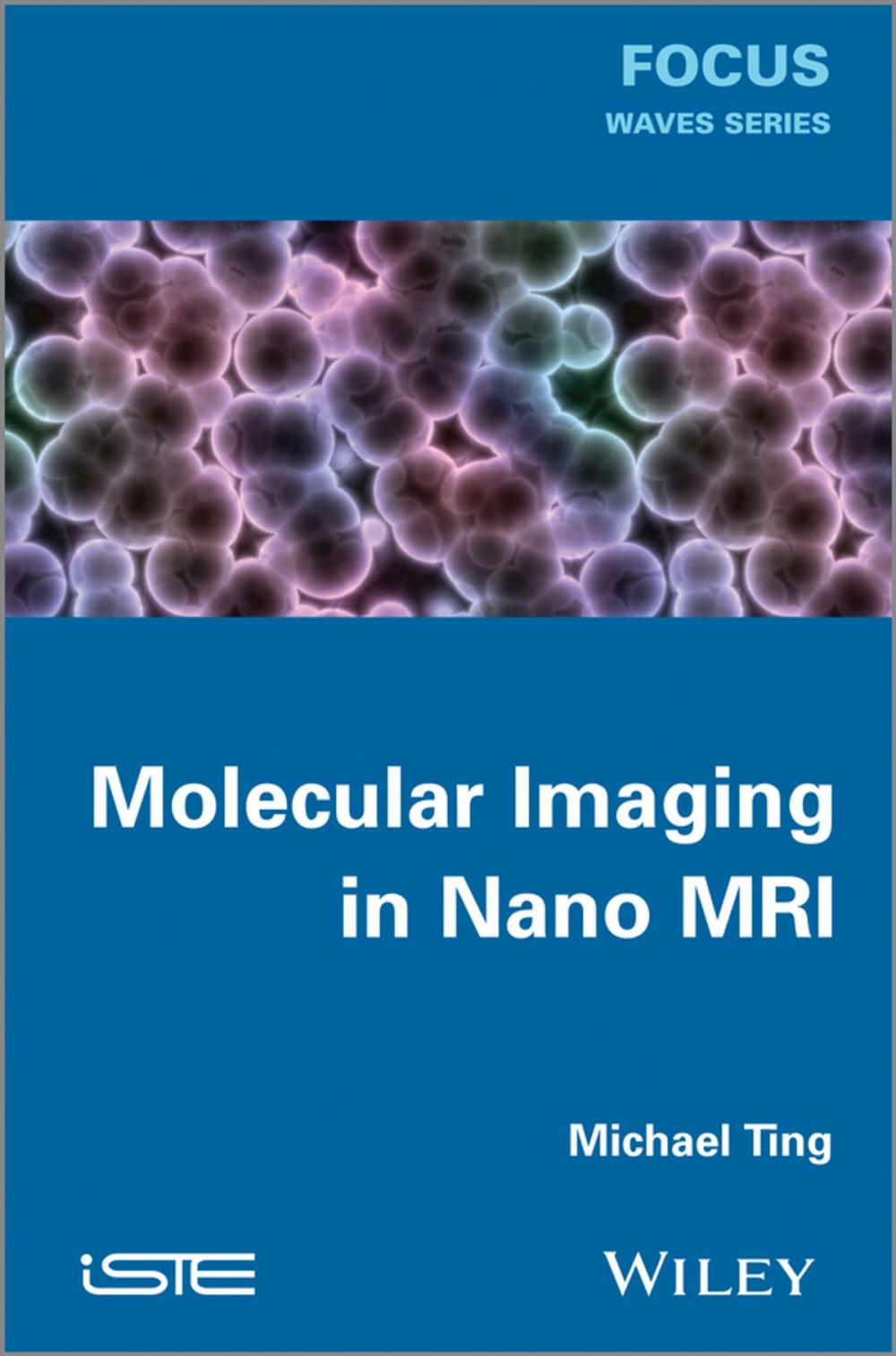 Big bigCover of Molecular Imaging in Nano MRI