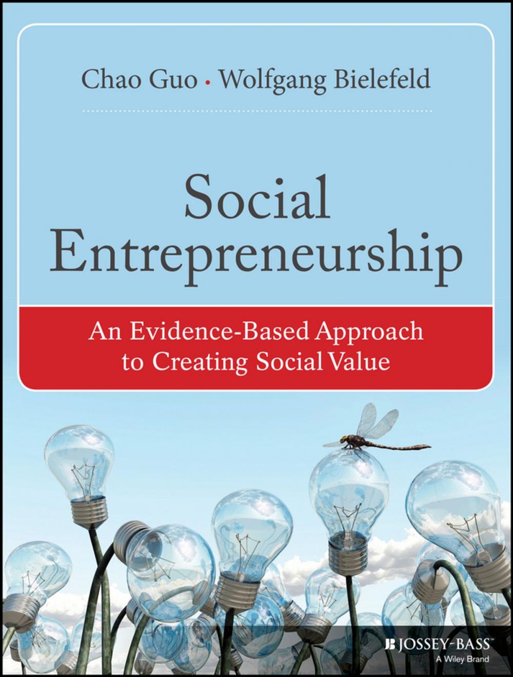 Big bigCover of Social Entrepreneurship