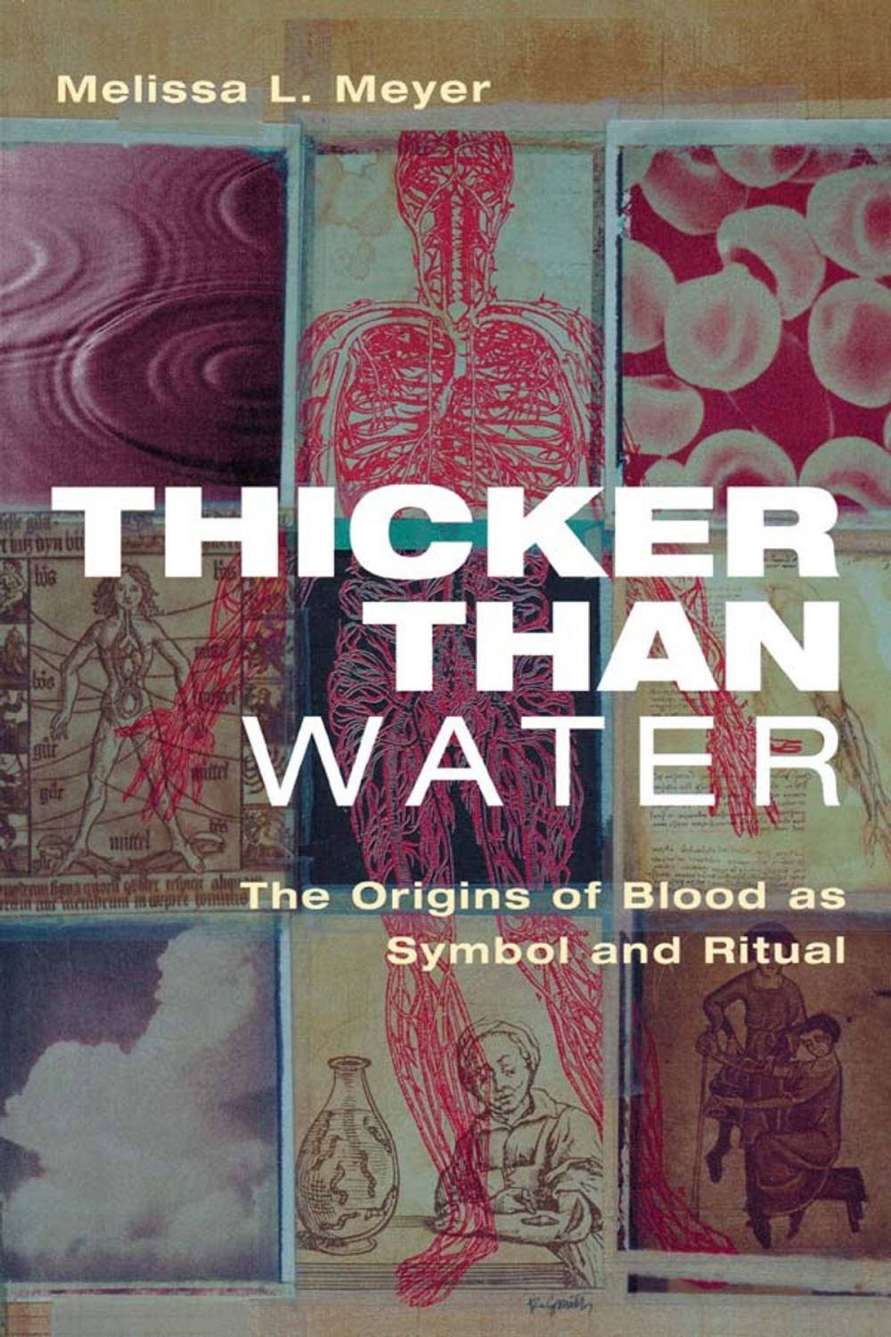 Big bigCover of Thicker Than Water