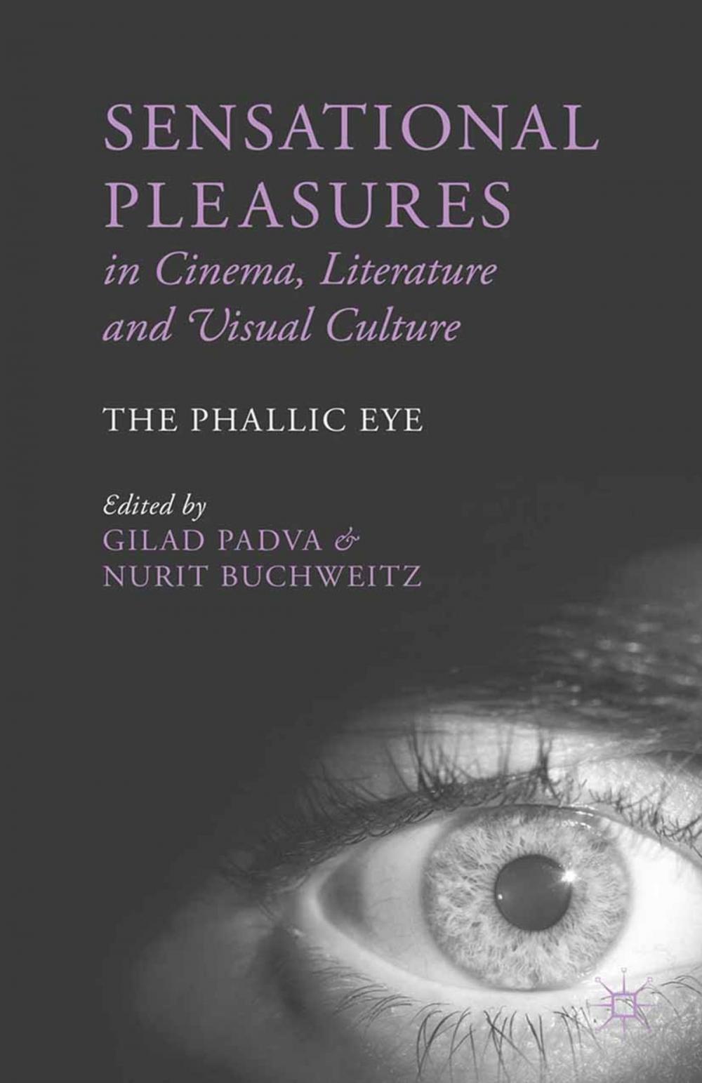 Big bigCover of Sensational Pleasures in Cinema, Literature and Visual Culture