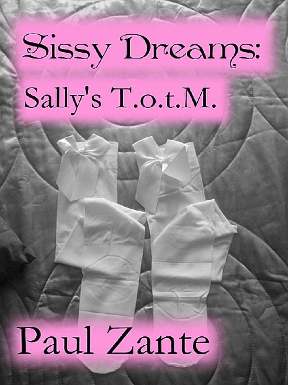 Big bigCover of Sissy Dreams: Sally's T.o.t.M.