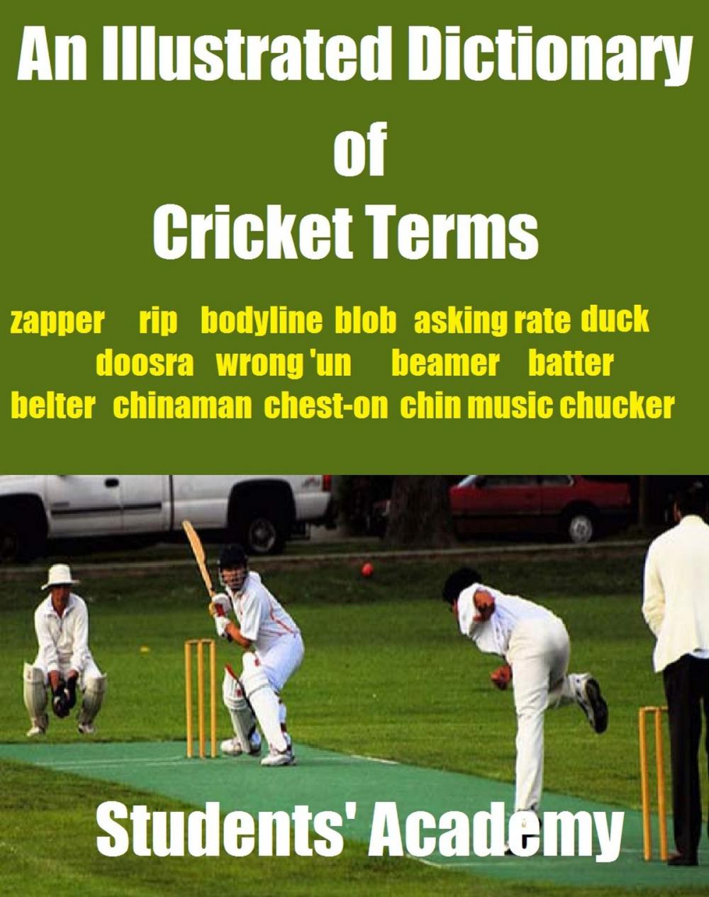 Big bigCover of An Illustrated Dictionary of Cricket Terms