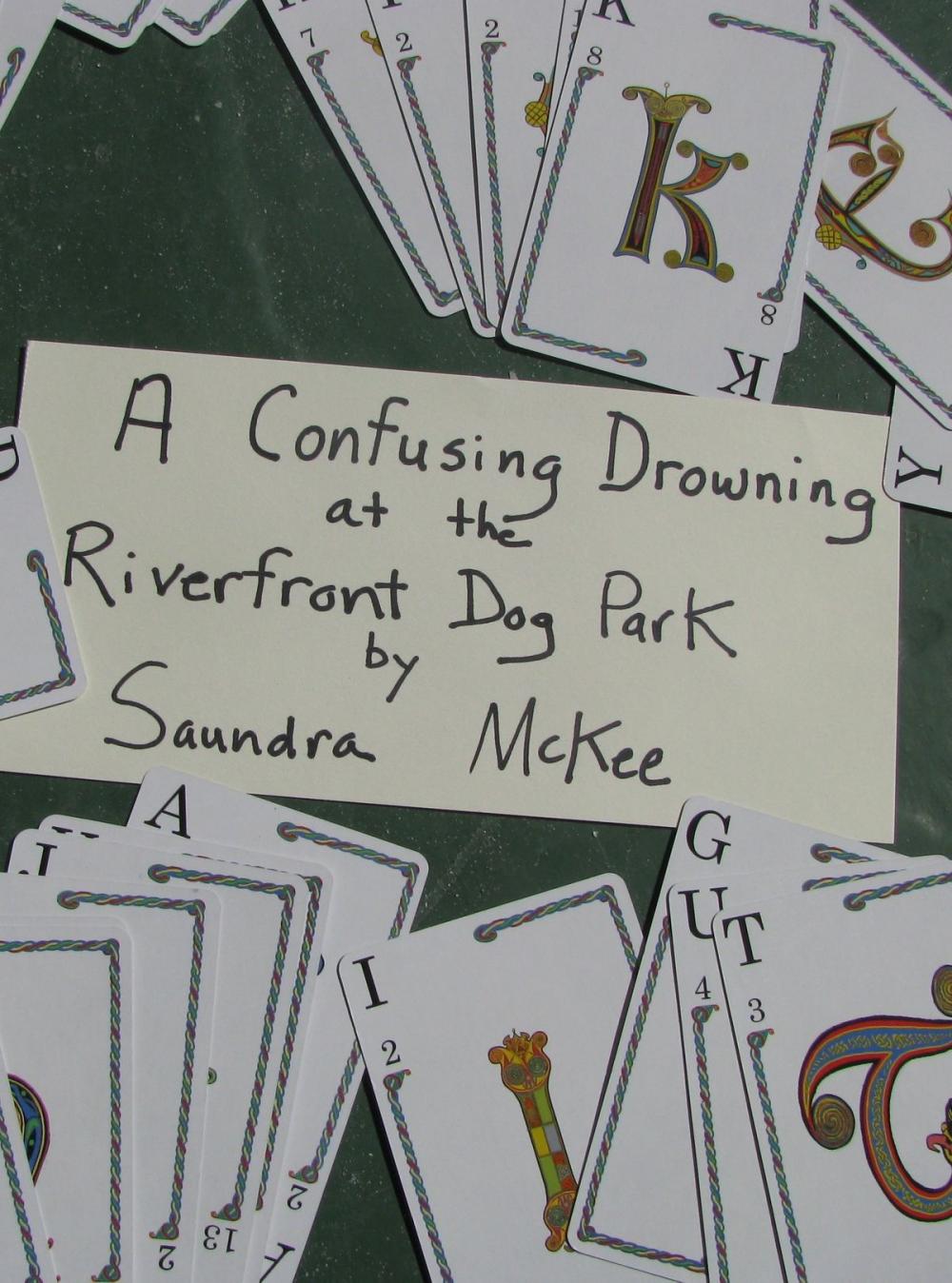 Big bigCover of A Confusing Drowning at the Riverfront Dog Park