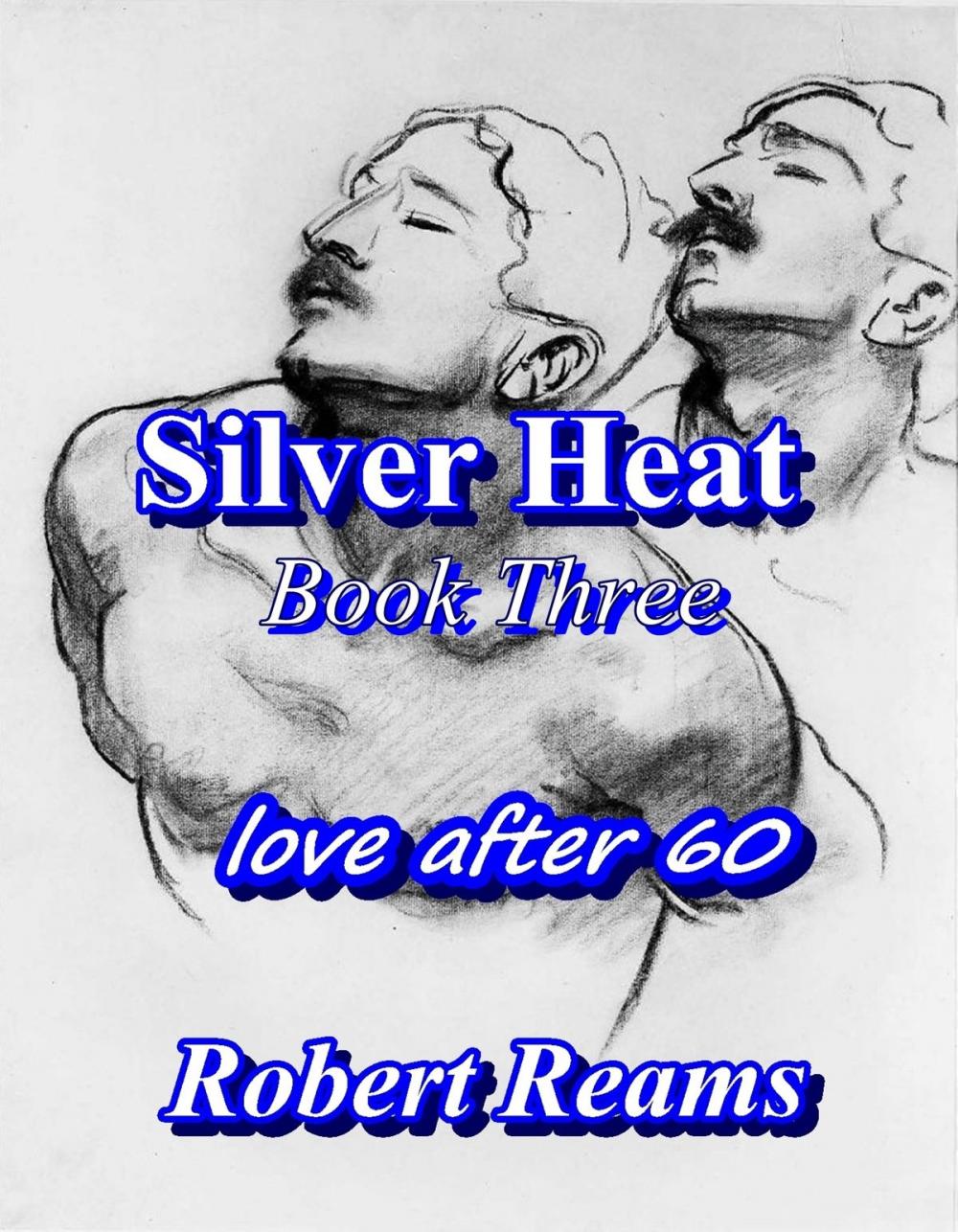 Big bigCover of Silver Heat, Book Three