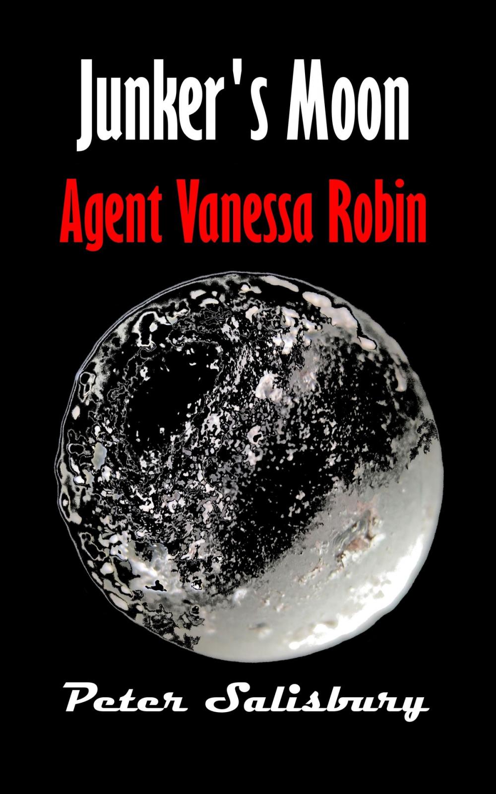 Big bigCover of Junker's Moon: Agent Vanessa Robin