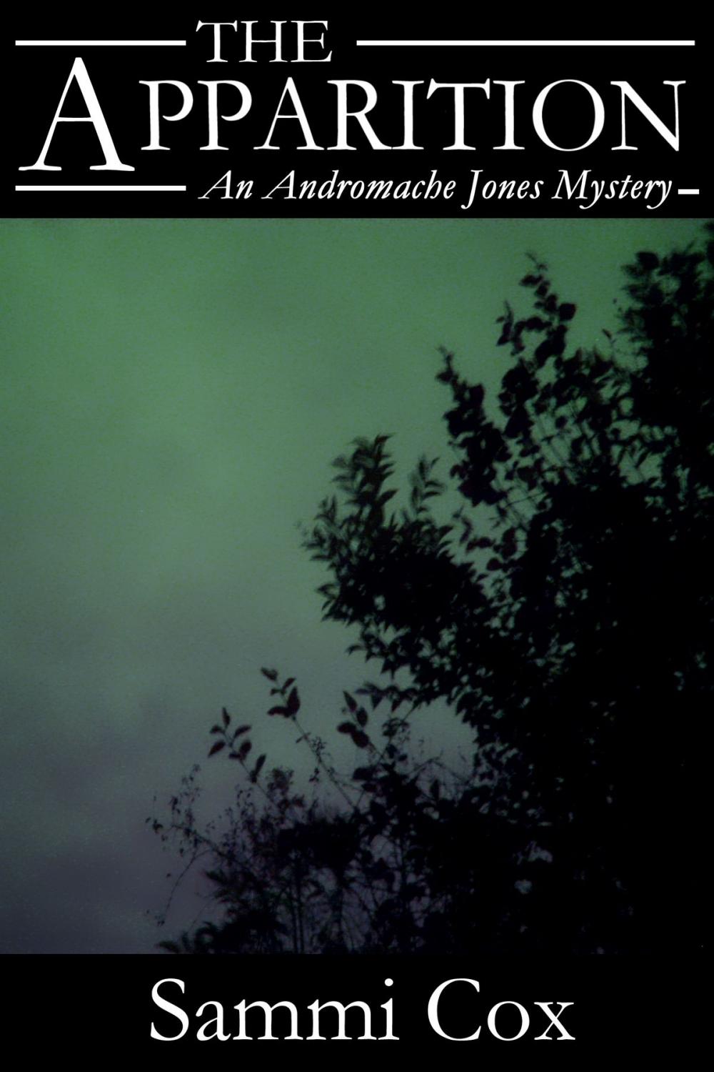 Big bigCover of The Apparition: An Andromache Jones Mystery