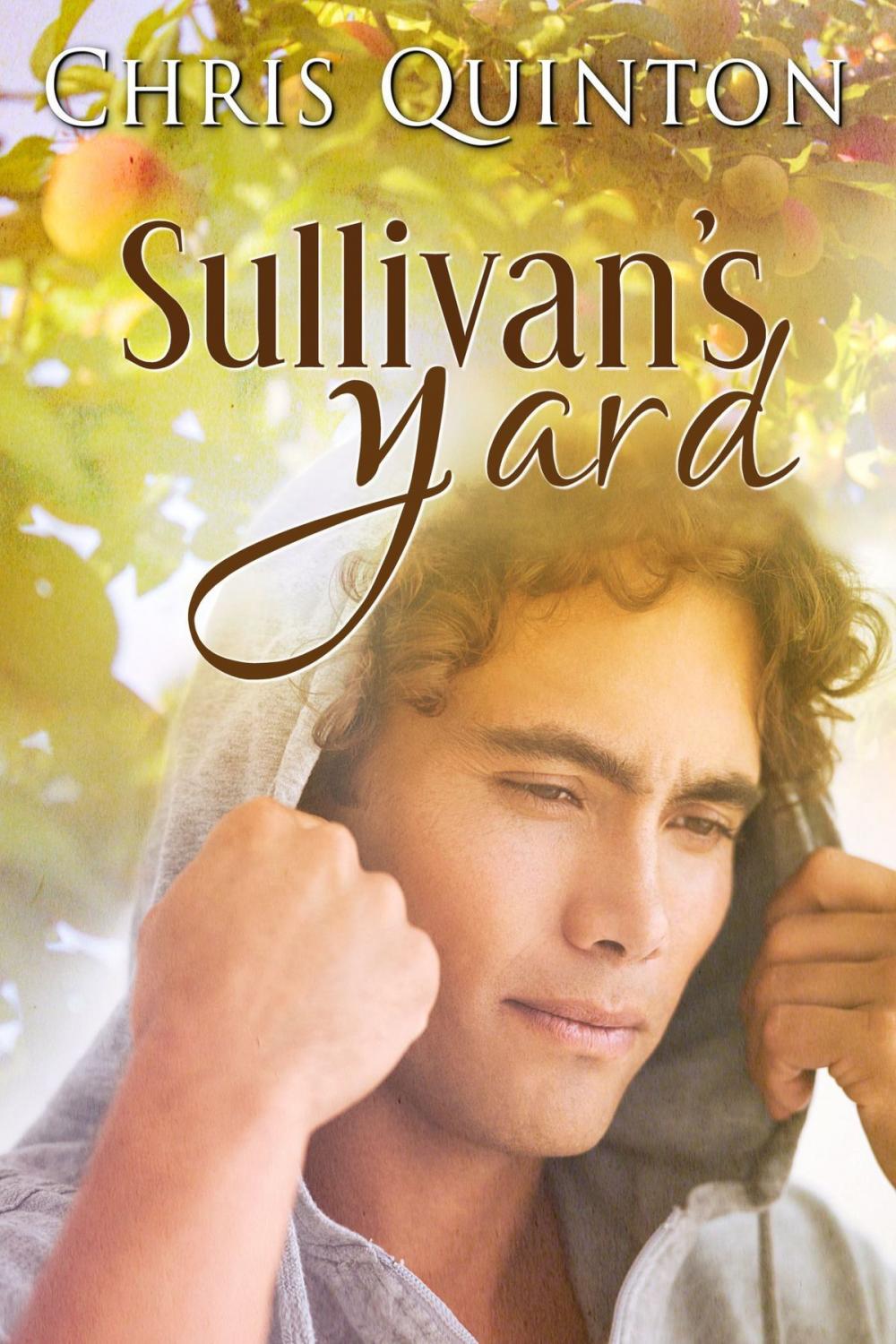 Big bigCover of Sullivan's Yard