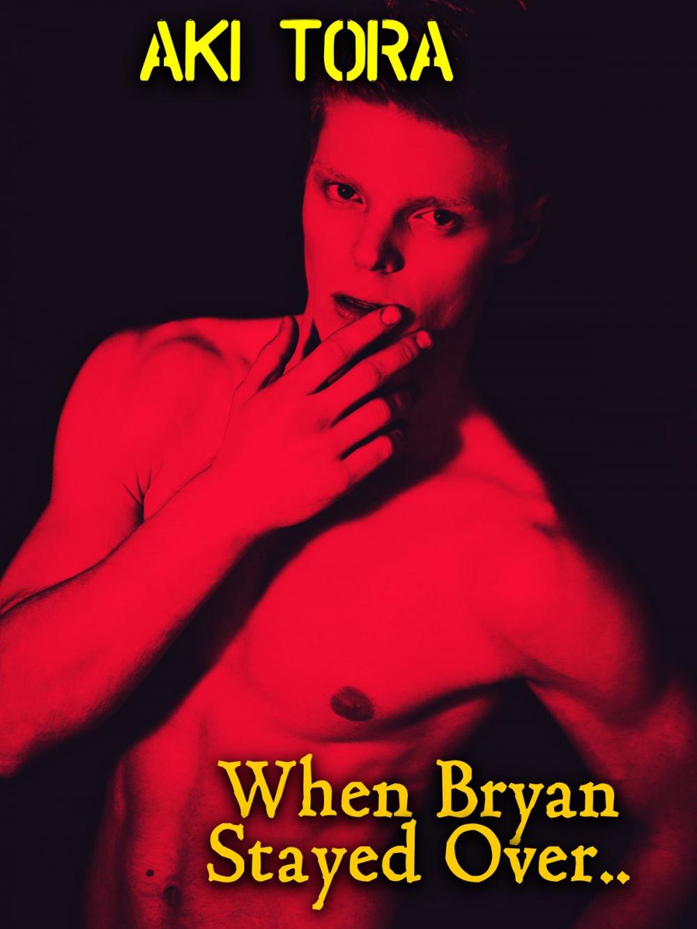 Big bigCover of When Bryan Stayed Over