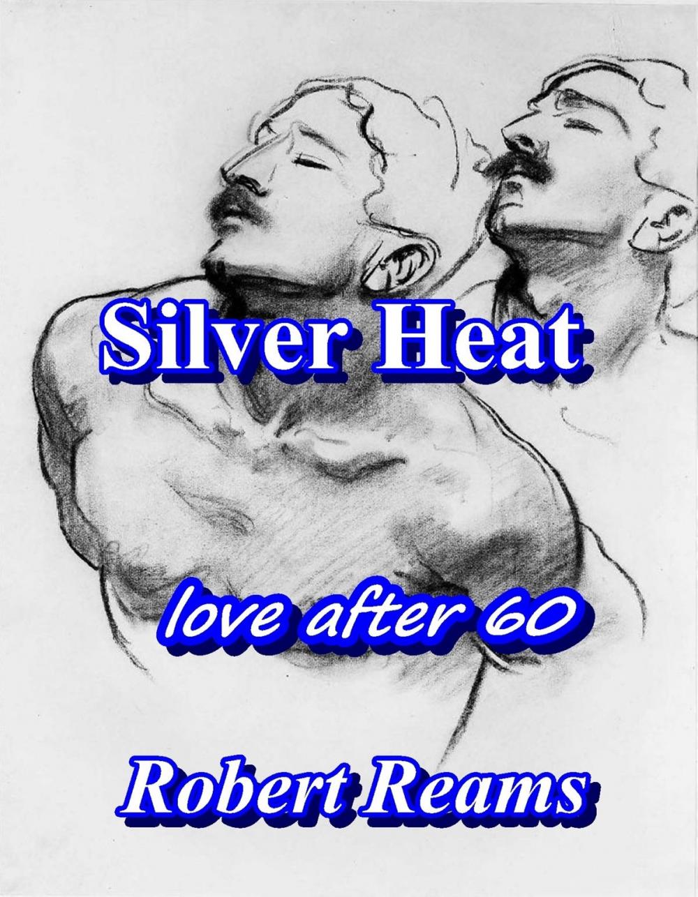 Big bigCover of Silver Heat